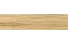 Dýhová hrana dub vrstvená 23 x 1,0
