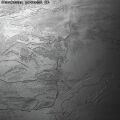 Těsnící lišta WAP Kronospan K093 SL Grey Emperador Marble