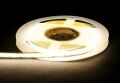 LED páska COB CCT 16 W/m, 10mm, 24V