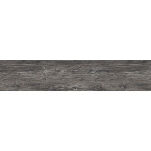 Hrana ABS H1486 ST36 Pinie Pasadena 23x2