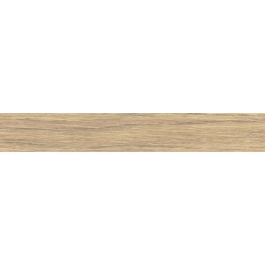Hrana ABS 241003 Dub zlatý (Gold Craft Oak) 42x1