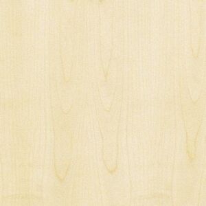 DTDD Javor evropský 19/2800/2070