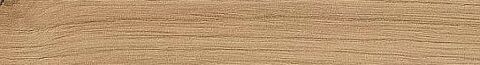 Hrana ABS H1318 ST10 Dub divokýr přírodní 43x1,5