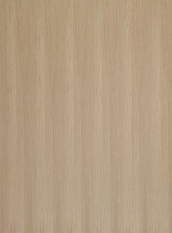 DTDD Dub evropský BASIC 19/2800/2070