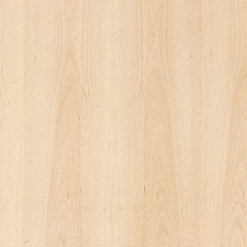 DTDD Buk pařený 19/2800/2070