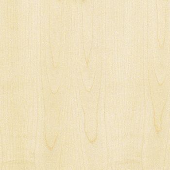 DTDD Javor evropský 19/2800/2070