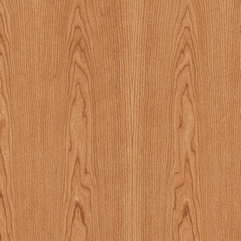 DTDD Třešeň americká 19/2800/2070